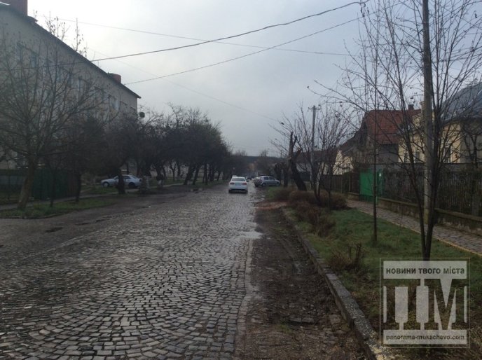 На вулиці Толстого у Мукачеві комунальники знищили дерева сакури (ФОТО) – 03