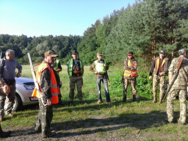 На Мукачівщині почали відстрілювати кабанів – 05