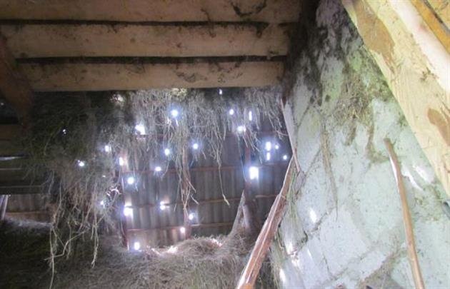 Мешканка Хустщини вирішила зберегти частину граду, що потріпав її обістя – 06