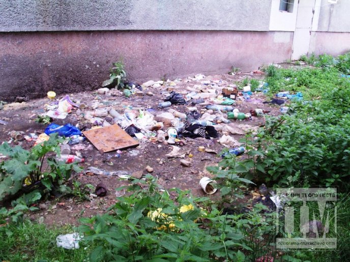 Комунальний хаос в гуртожитку по вулиці Писарєва (ФОТО,ВІДЕО) – 10