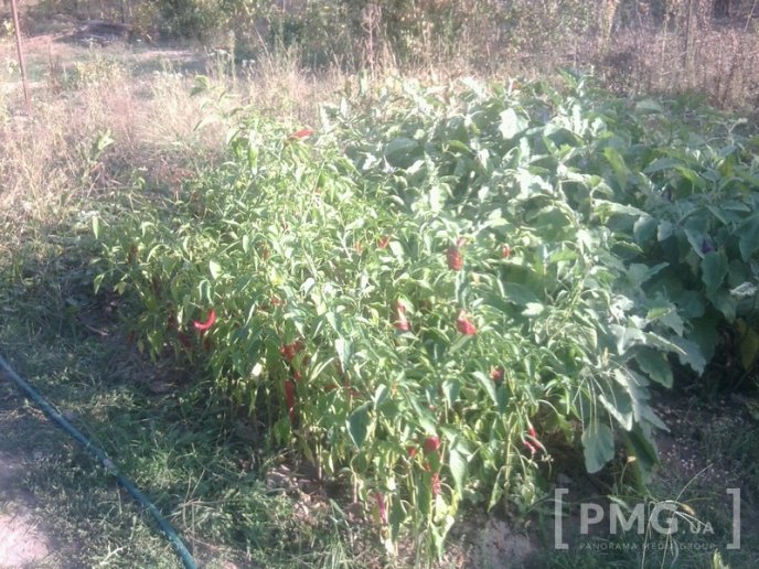 Землю, яка належить мешканцям мікрорайону "Підгоряни", можуть віддати бійцям АТО – 02