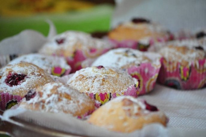 В Ужгороді розпочався "Майся фест" – 03