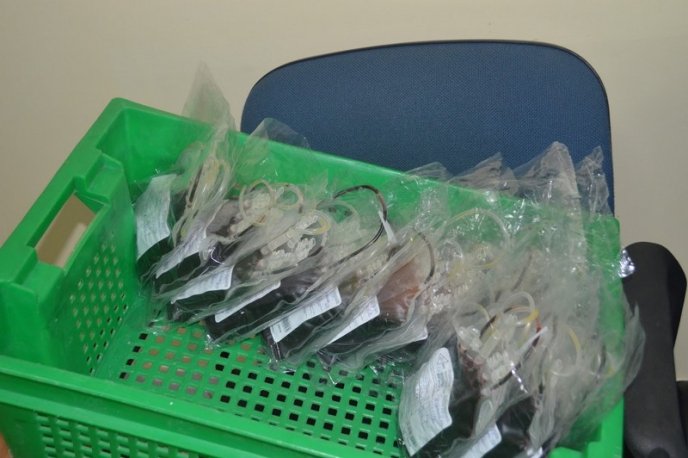 Прикордонники здавали кров, щоб врятувати чуже життя – 04