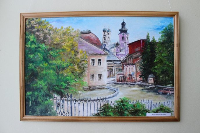 В обласному центрі показали "найправдивіший" пейзаж Ужгорода  – 08