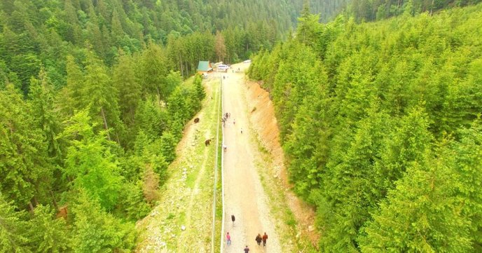 Озеро Синевир, село Колочава та гірський перевал у Карпатах показали з висоти пташиного польоту – 03