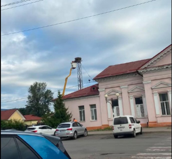 У Сваляві скандал через демонтаж гнізда лелек, Укрзалізниця обіцяє усе виправити – 01