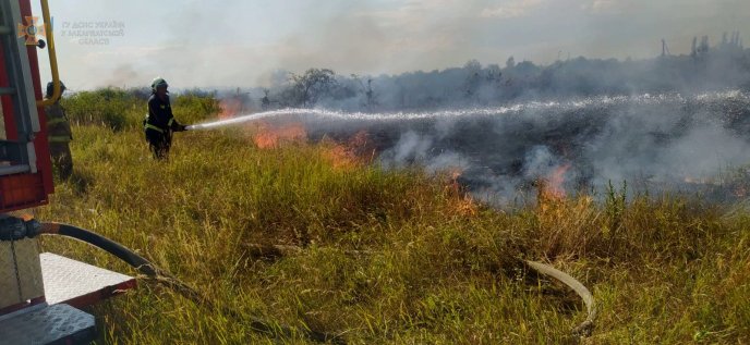 Паління сухої трави ледь не призвело до трагедії в одному з сіл Закарпаття – 01