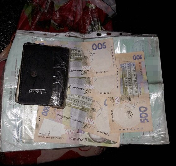 Закарпатка вчинила в Києві ганебний злочин – 02