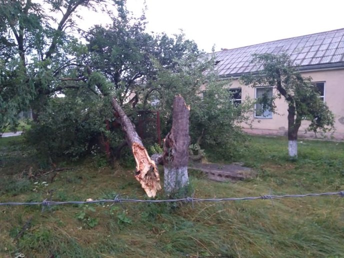 Рятувальники ліквідовують наслідки негоди – 01