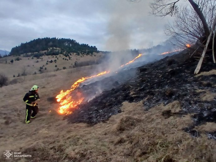 За добу на Закарпатті згоріло понад 78 гектарів землі – 02