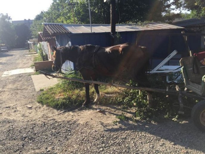 У Рахові продовжують ліквідовувати наслідки негоди – 08