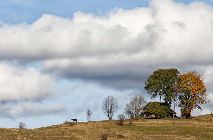 В Ужгороді відкрили фотовиставку, присвячену життю та побуту в Карпатах (ФОТО) – 12