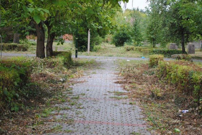 Мукачівці перетворили Комсомольський парк на сміттєзвалище (ФОТОРЕПОРТАЖ) – 01