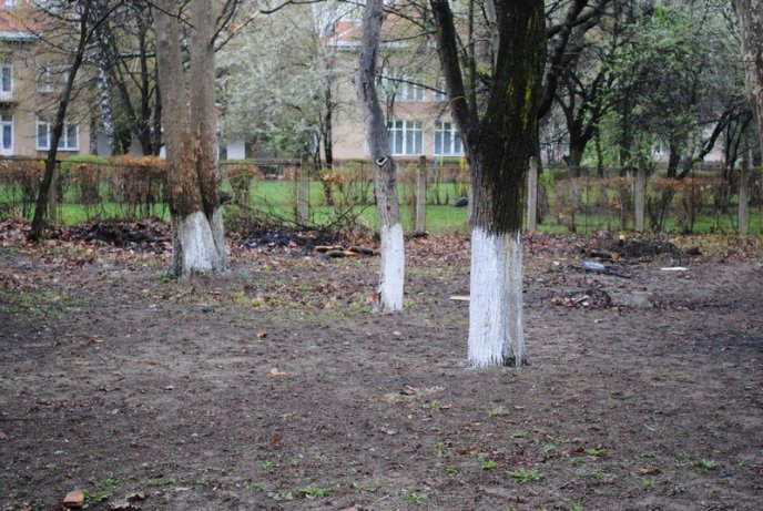 Толока в Мукачеві крізь об’єктив нашого кореспондента (ФОТОРЕПОРТАЖ) – 27