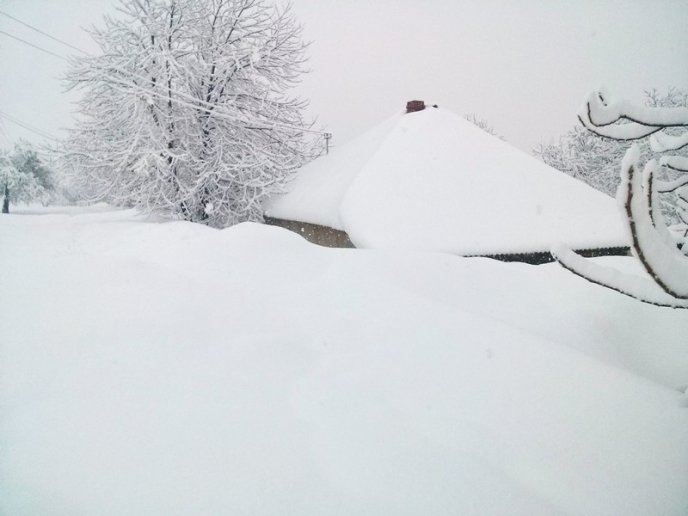 Казкова зима у селі Брестів на Мукачівщині: неймовірні фото – 14