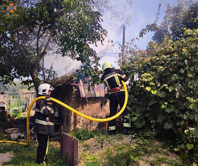 На Закарпатті загорілася будівля, у якій перебувала тварина – 02