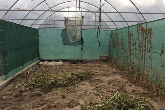 У двох братів із Мукачева поліція вилучила майже 80 кг наркотиків – 02