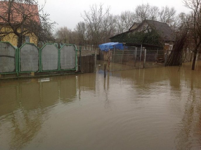 Мукачівський район у воді: підтоплено 150 дворогосподарств, людям підвозять питну воду (ФОТО) – 06