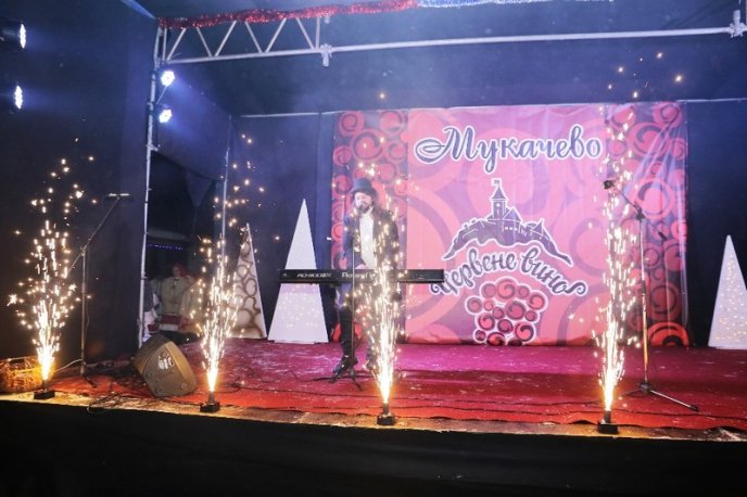 Закарпатські вина, смачні страви та дзвінкі пісні: у Мукачеві урочисто відкрили фестиваль "Червене вино" – 14