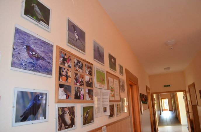 У Мукачеві можливо з’являться еко-дитсадки європейського типу – 01