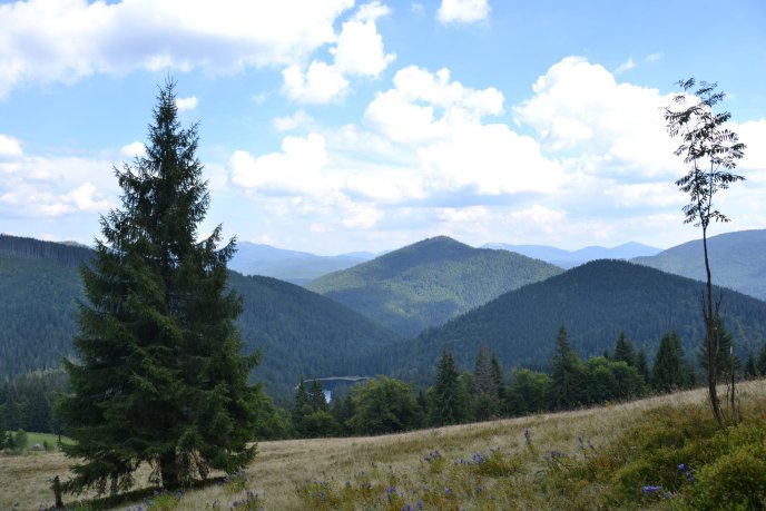 НПП "Синевир" пропагує активні види подорожей та вже провів цікаву акцію – 03