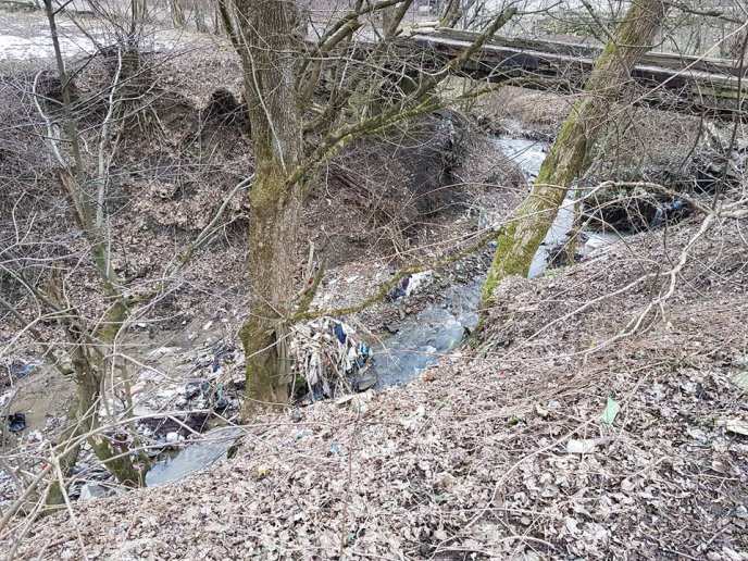 У Великому Березному роми влаштували велике прибирання на своїх прибудинкових територіях – 05 У Великому Березному роми влаштували велике прибирання на своїх прибудинкових територіях – 05