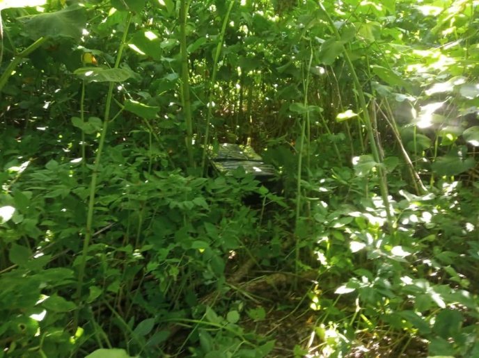 Невідомі покинули біля кордону більше 12 тисяч пачок цигарок – 01