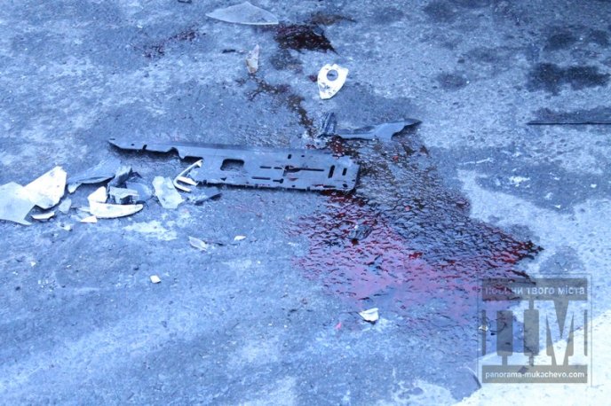 На машині, яка збила жінку біля Клячанова були сині номери, але відразу після ДТП їх зняли – очевидець (ФОТО) – 13