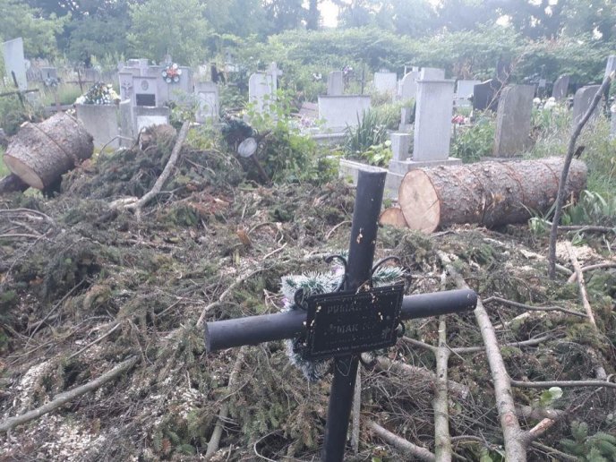 У Мукачеві взялися впорядковувати територію кладовища – 02