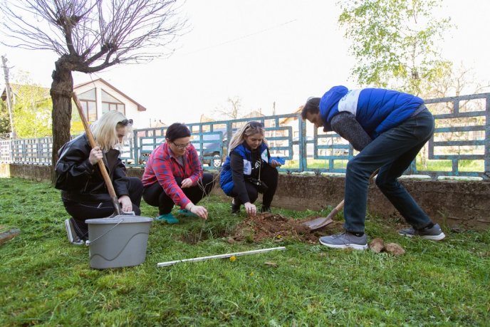 Фондом "Регіон Карпат NEEKA" висаджено понад 250 дерев – 10 Фондом "Регіон Карпат NEEKA" висаджено понад 250 дерев – 10