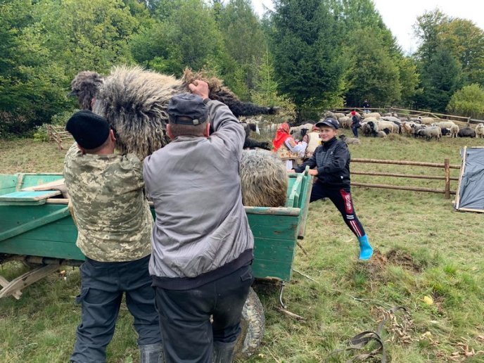 "Випускний" для вівчарів: у гірському селі провели колоритний захід – 03