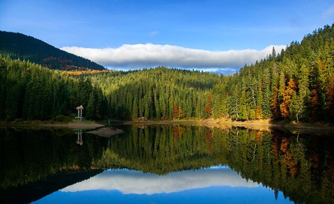 В Ужгороді відкрили фотовиставку, присвячену життю та побуту в Карпатах (ФОТО) – 11
