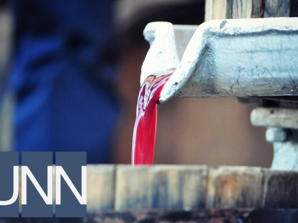 Як на Мукачівщині фестиваль вина проходить – 11