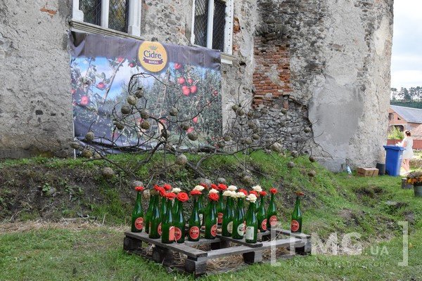 У Чинадієві відбувся фестиваль квітів "Кохання в Сент-Міклоші" – 62