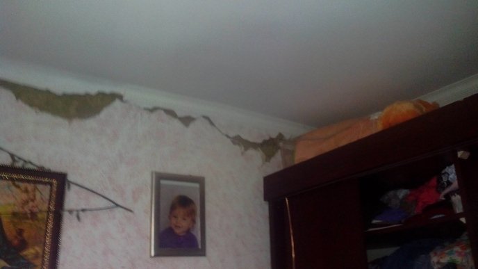 У мережі з’явились фото наслідків землетрусу на Тячівщині – 02