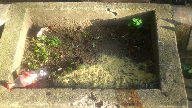 Колись доглянутий парк імені Масарика в Ужгороді занепадає – 04