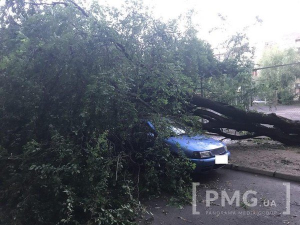 У мікрорайоні "Пентагон" у Мукачеві дерево впало на автомобіль – 02