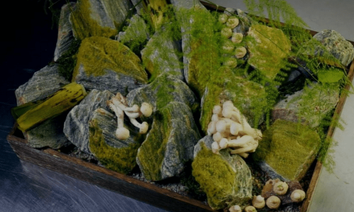 "Мастер Шеф. Професіонали 4": тепер у проєкті залишиться тільки один закарпатець – 04