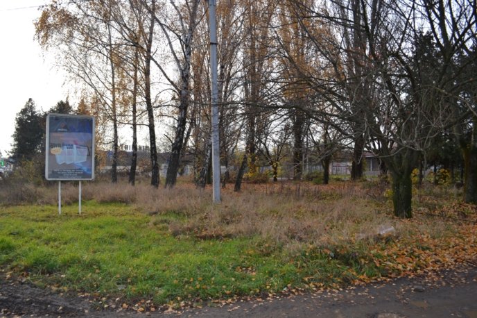 В Ужгороді на один сквер стало менше. Практично всі дерева вирізали – 05