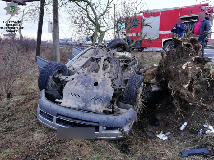 Трагічна аварія на трасі "Київ-Чоп": внаслідок зіткнення з деревом двоє осіб загинули – 01