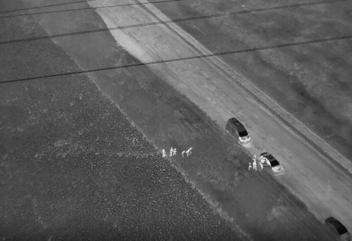 Нелегали ховалися від прикордонників у соняшниковому полі – 02