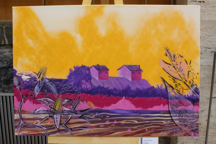 В Ужгороді відкрили виставку українсько-словацької кераміки та живопису – 09