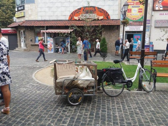 Сьогоднішній випадок у центрі Хуста здивував багатьох перехожих – 02