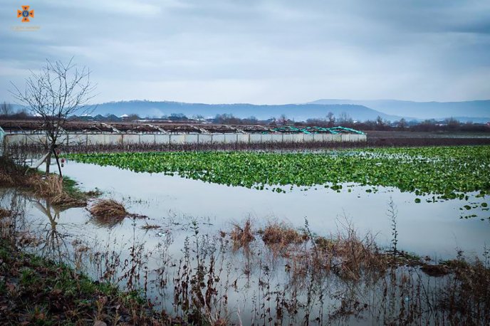 Через рясні дощі на Закарпатті підтопило поля, дороги і дворогосподарства – 04