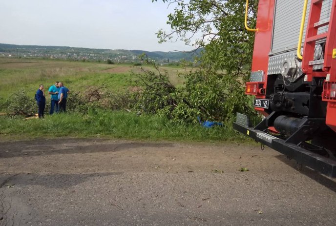 На Хустщині сталась ДТП: двох дітей госпіталізували, – соцмережі  – 01