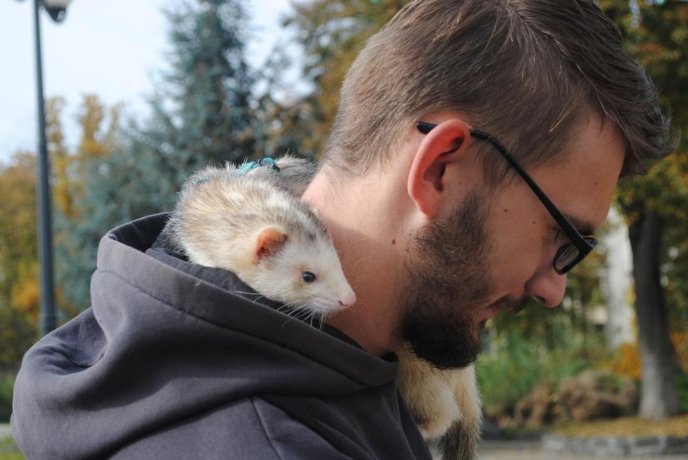 Пес на візку став одним із учасників маршу за права тварин в Ужгороді – 13