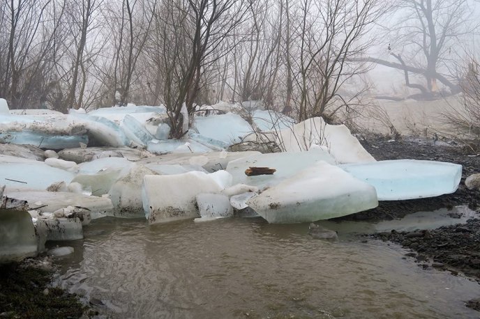 Наслідки "снігового паводку" на Закарпатті: фотограф показав, як виглядає річка Уж біля плотини у Невицькому – 05