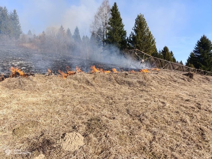 За добу на Закарпатті згоріло понад 78 гектарів землі – 05