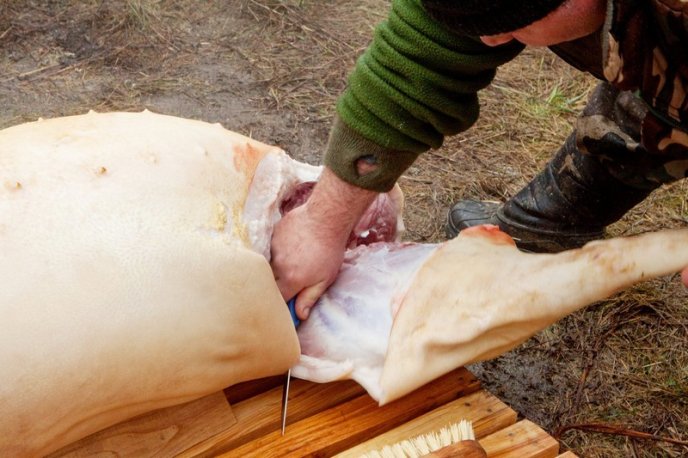 Колоритний фестиваль Гентешів у селі Геча: як це було – 13