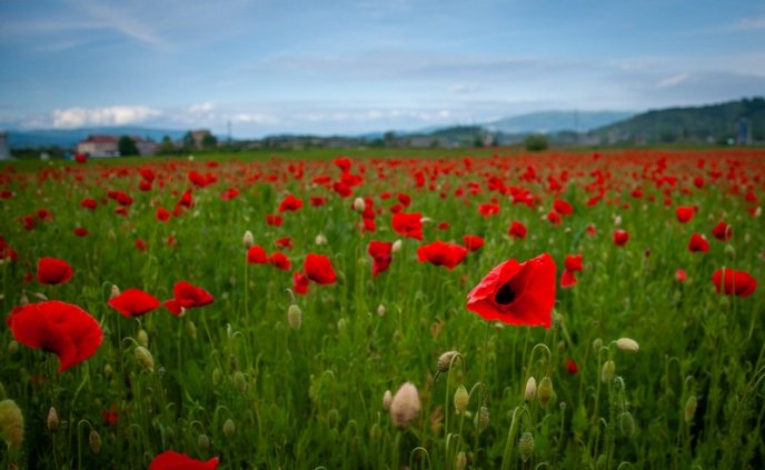 У Мукачеві з’явилась дивовижна локація для фото – 06